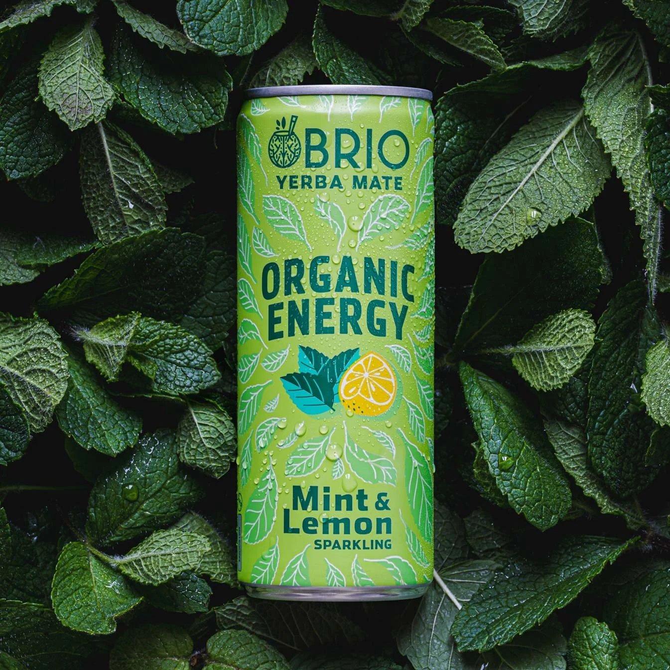 Boisson Yerba Maté Bio Menthe & Citron - Brio Maté France