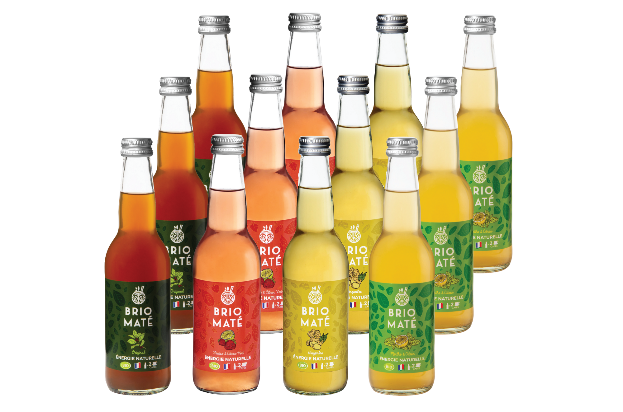 Brio Maté Energy Drink Naturel Bio Pack Découverte